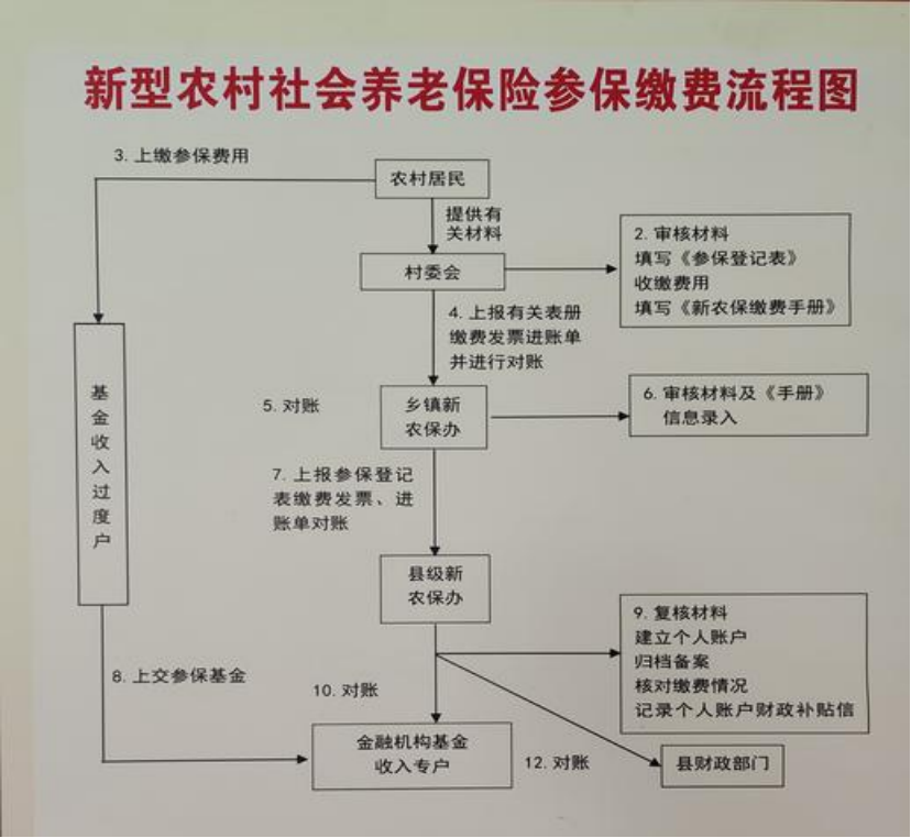 中山农村医保和社保有什么区别(农村医保跟社保的区别)